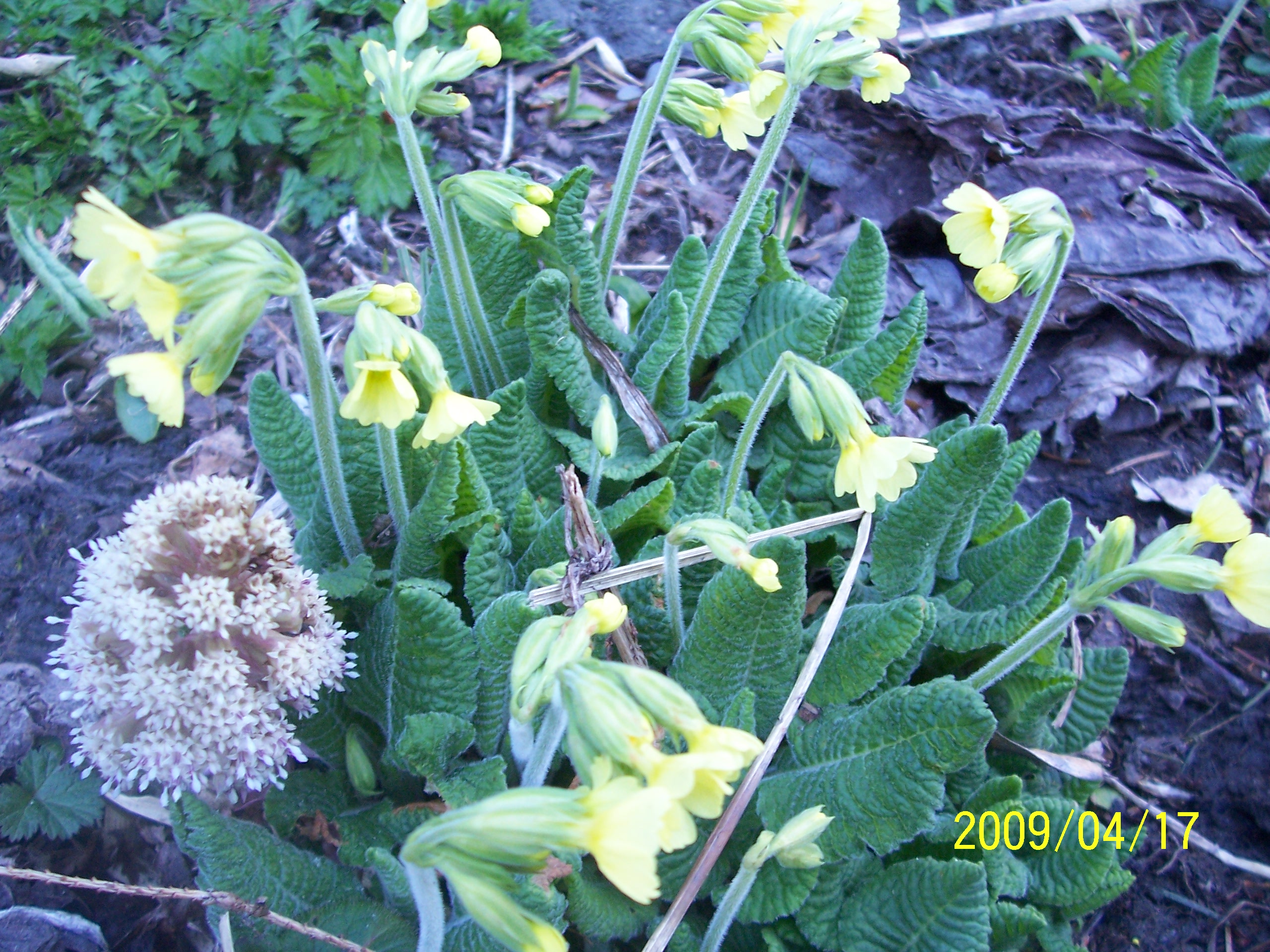 100_0523.JPG
